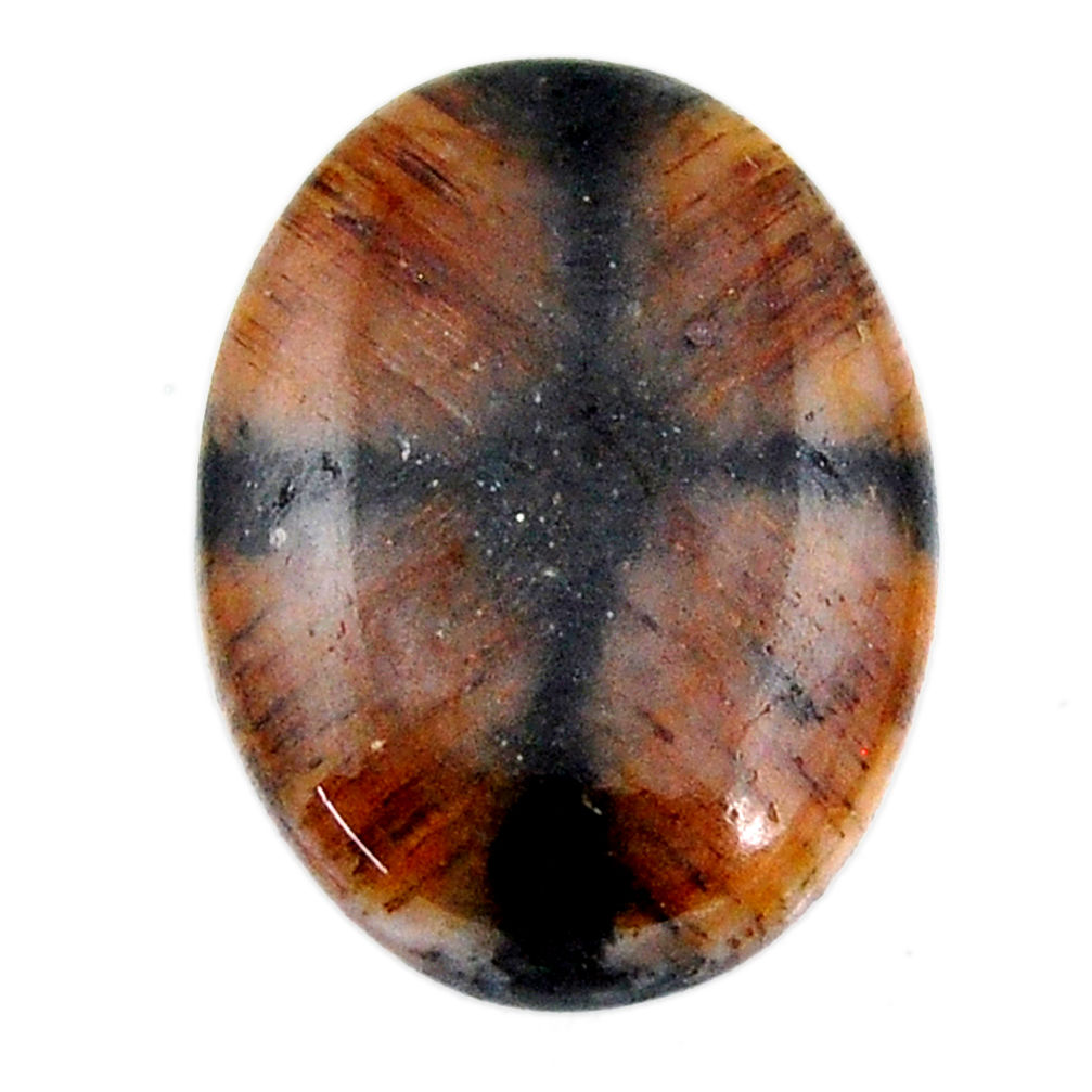 Natural 18.25cts chiastolite brown cabochon 22.5x17mm oval loose gemstone s19262