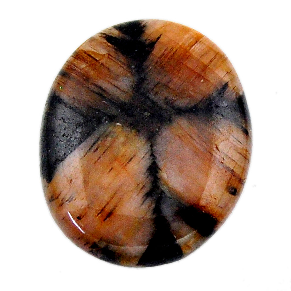 Natural 16.30cts chiastolite brown cabochon 22x18 mm oval loose gemstone s19254