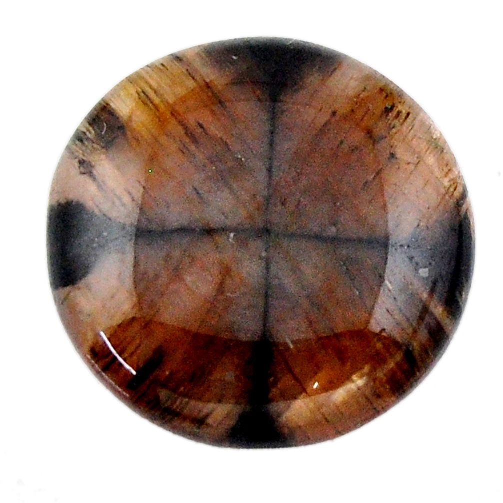 Natural 24.15cts chiastolite brown cabochon 22x22 mm oval loose gemstone s19245