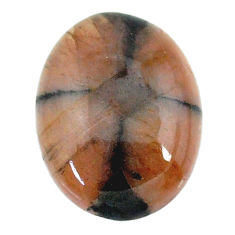 Natural 26.10cts chiastolite brown cabochon 23.5x18mm oval loose gemstone s22493