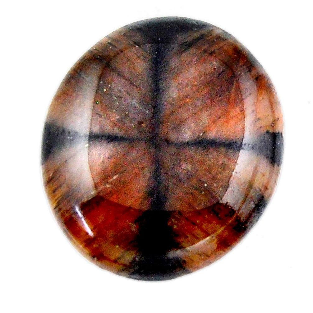 Natural 23.10cts chiastolite brown cabochon 23.5x20mm oval loose gemstone s19241