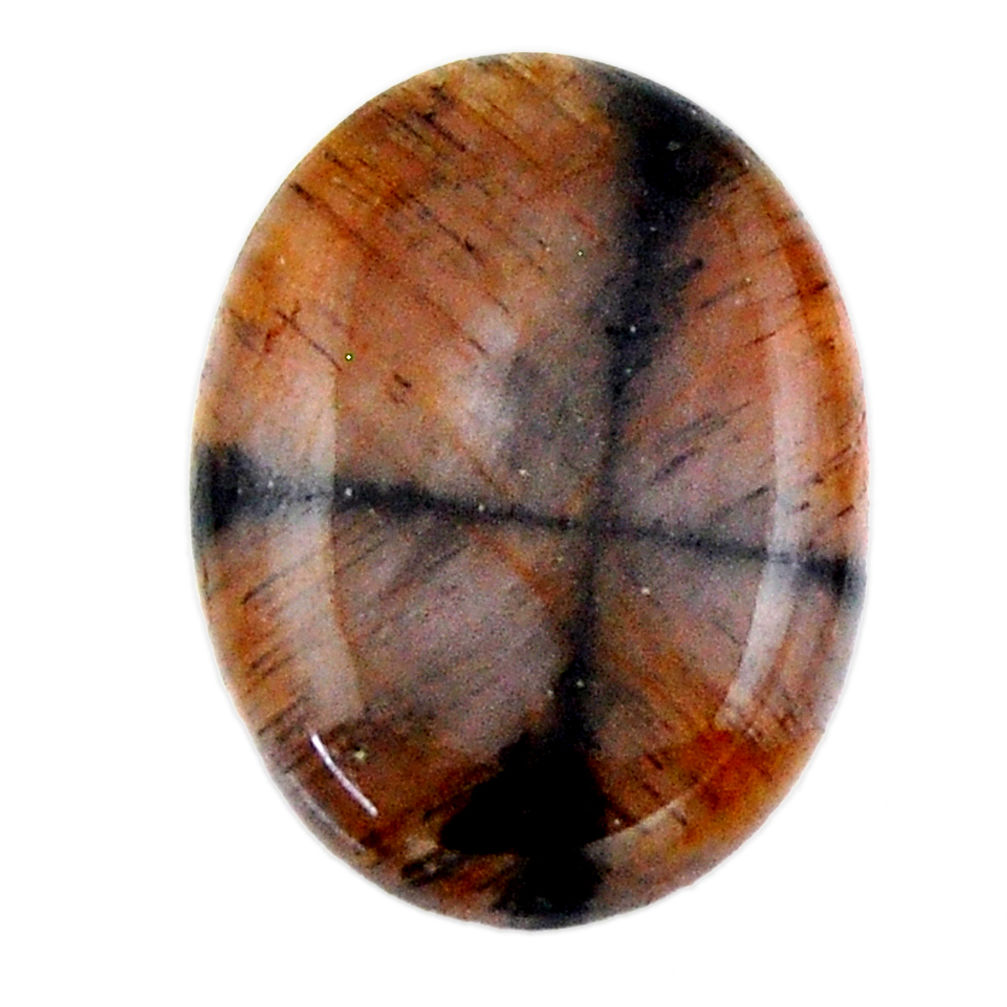 Natural 20.15cts chiastolite brown cabochon 23x17 mm oval loose gemstone s19242