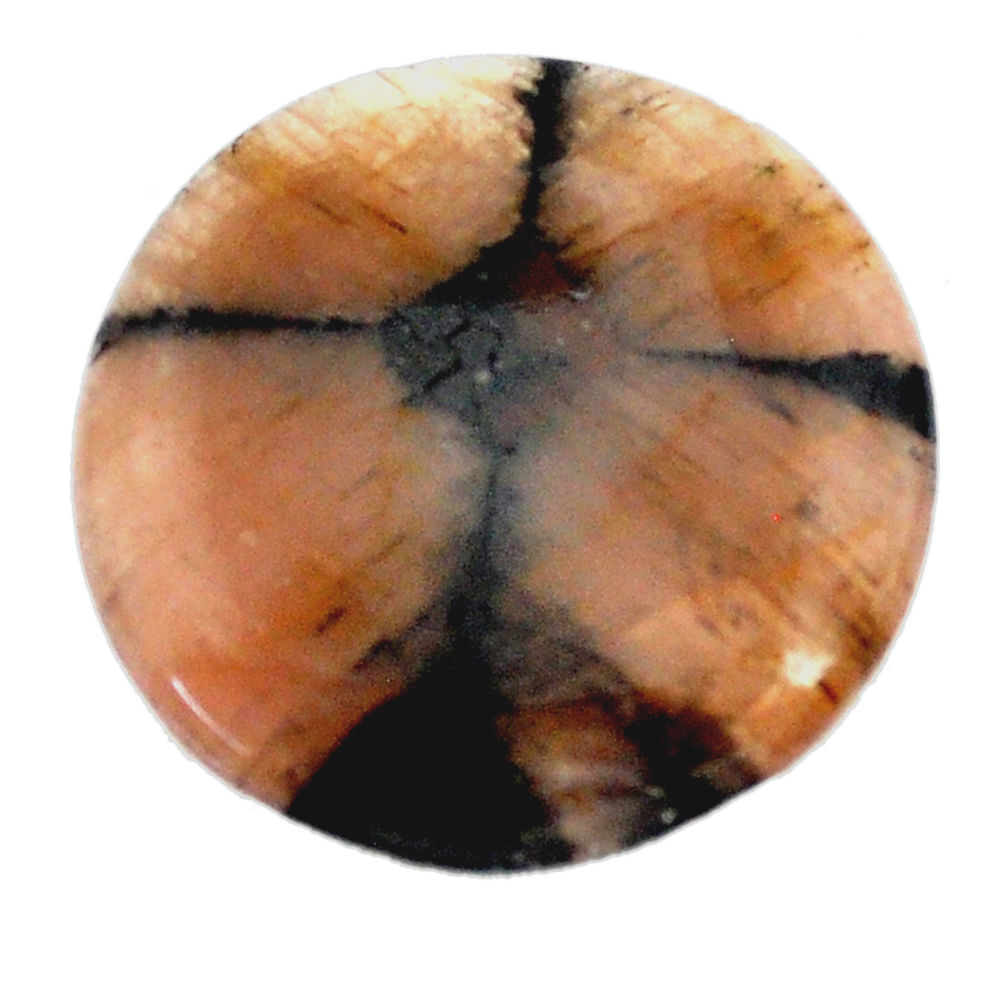 Natural 28.85cts chiastolite brown cabochon 27x27 mm round loose gemstone s22488