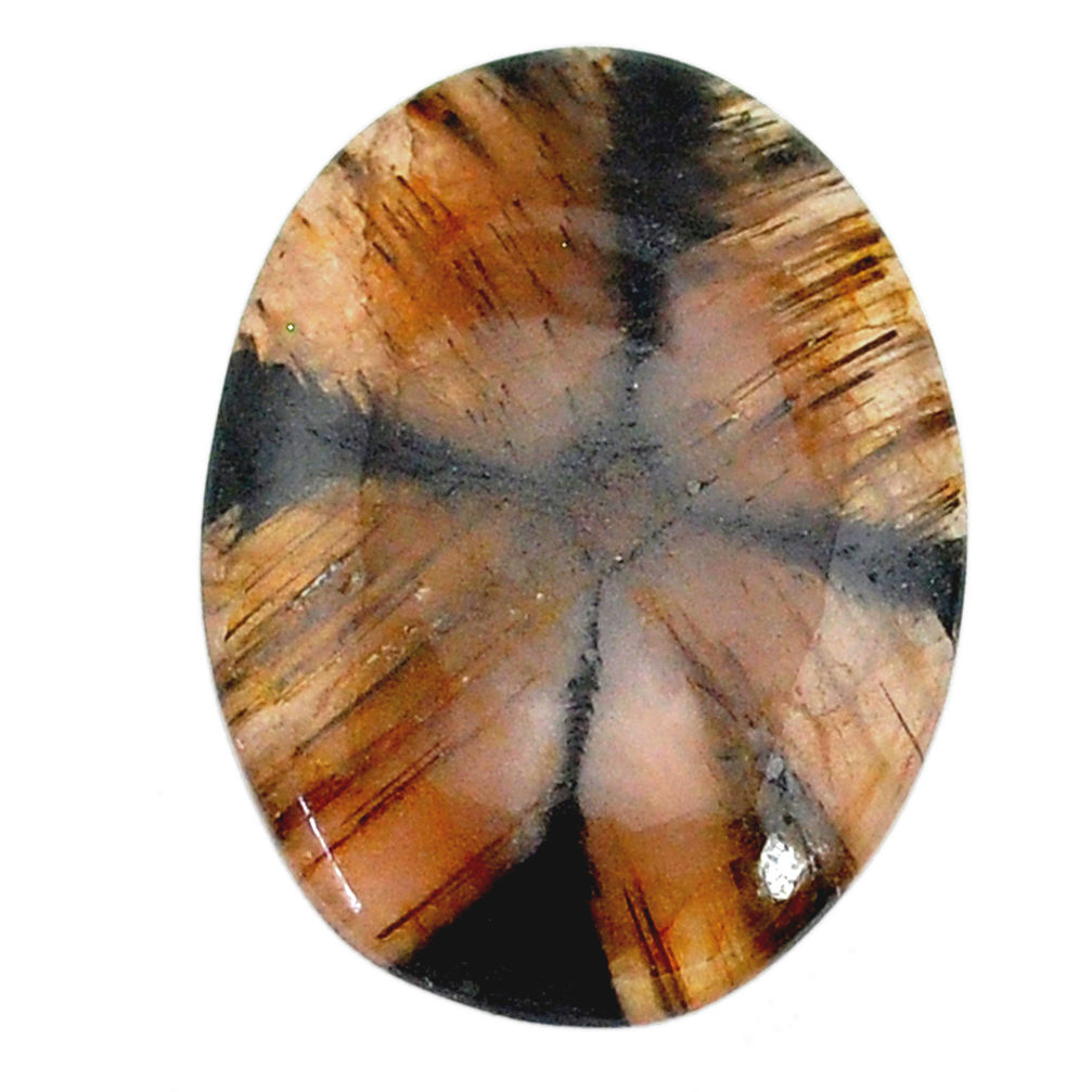 Natural 26.45cts chiastolite brown cabochon 29x21 mm oval loose gemstone s22496