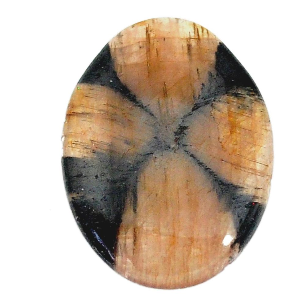 Natural 27.45cts chiastolite brown cabochon 30x23 mm oval loose gemstone s22489