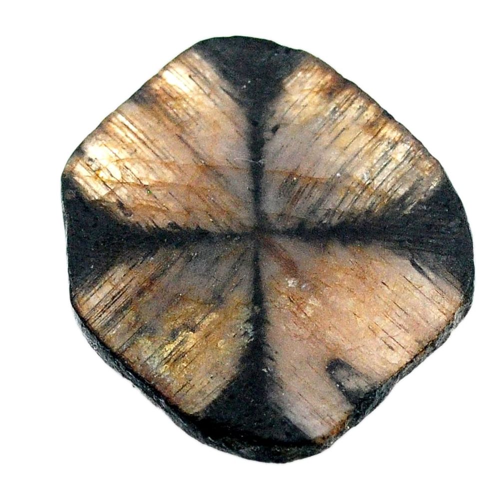 Natural 28.05cts chiastolite brown cabochon 30x28 mm fancy loose gemstone s25026
