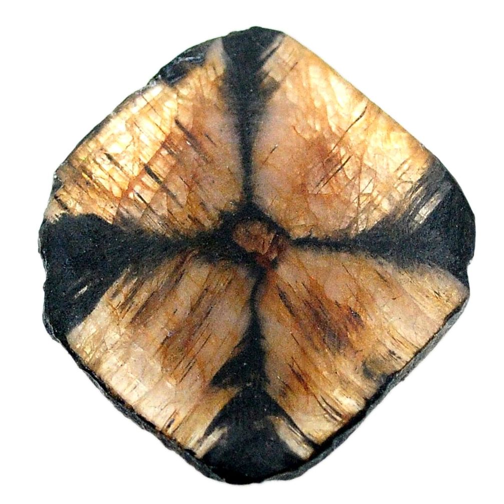 Natural 28.40cts chiastolite brown cabochon 30x30 mm fancy loose gemstone s25025