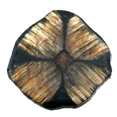 Natural 40.20cts chiastolite brown cabochon 33x33 mm fancy loose gemstone s25030