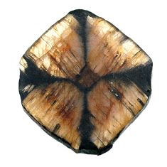 Natural 32.40cts chiastolite brown cabochon 36x30 mm fancy loose gemstone s25039