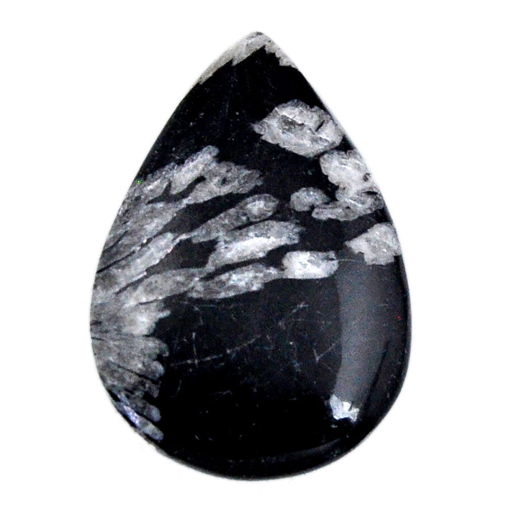 Natural 14.30cts chrysanthemum black cabochon 27x18mm pear loose gemstone s19864