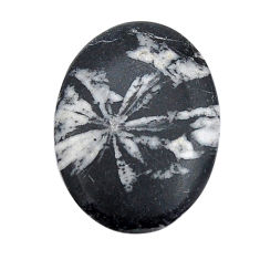 Natural 16.30cts chrysanthemum black cabochon 31x22mm oval loose gemstone s29792