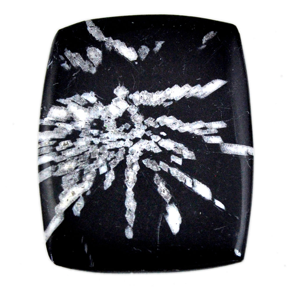 Natural 40.15cts chrysanthemum black cabochon 38x29 mm loose gemstone s19867