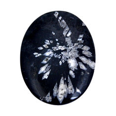 Natural 29.35cts chrysanthemum black cabochon 42x30mm oval loose gemstone s29656