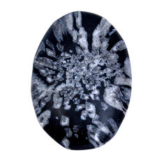 Natural 61.30cts chrysanthemum black cabochon 45x29mm oval loose gemstone s29658