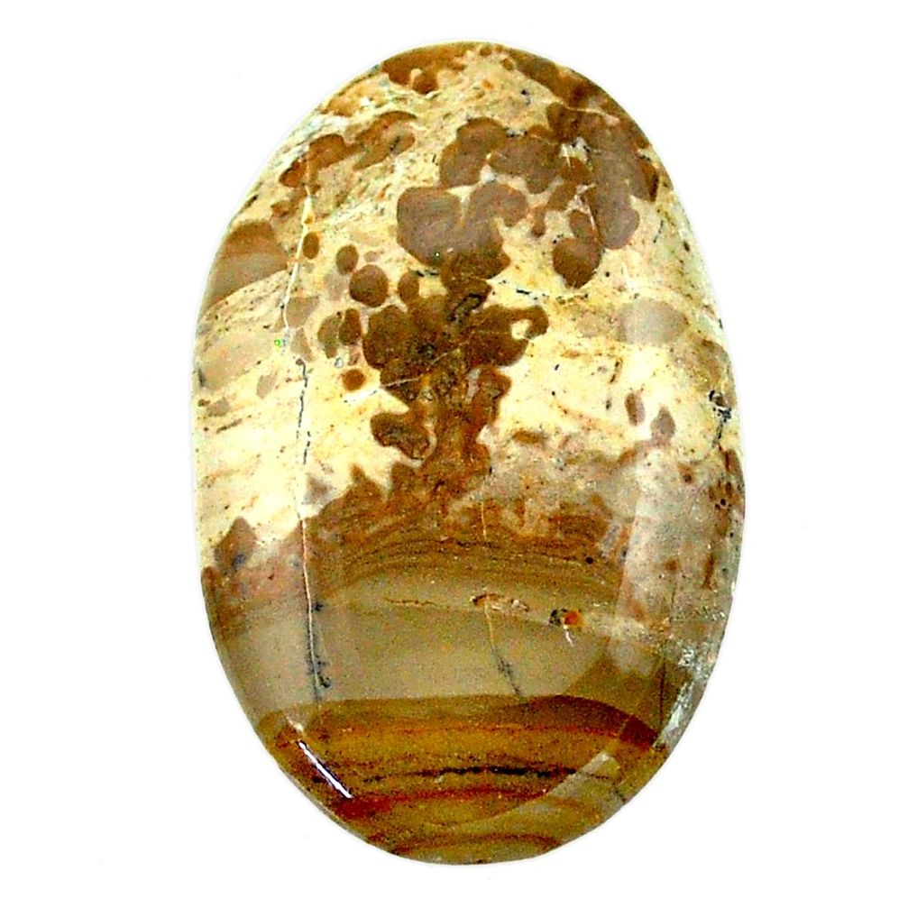 Natural 20.10cts cotham landscape marble 31x19 mm oval loose gemstone s23528