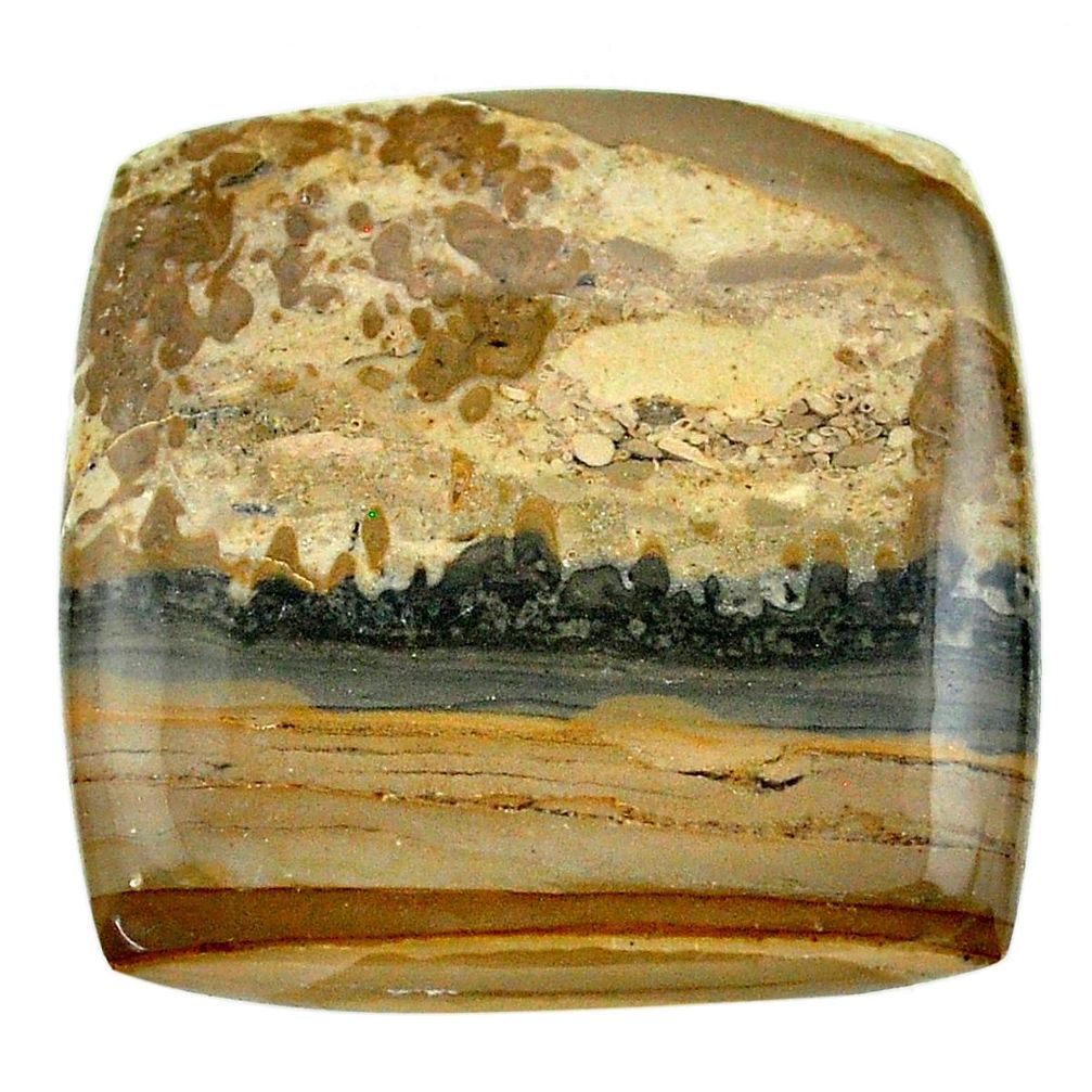 Natural 48.40cts cotham landscape marble 33x33 mm octagan loose gemstone s23540