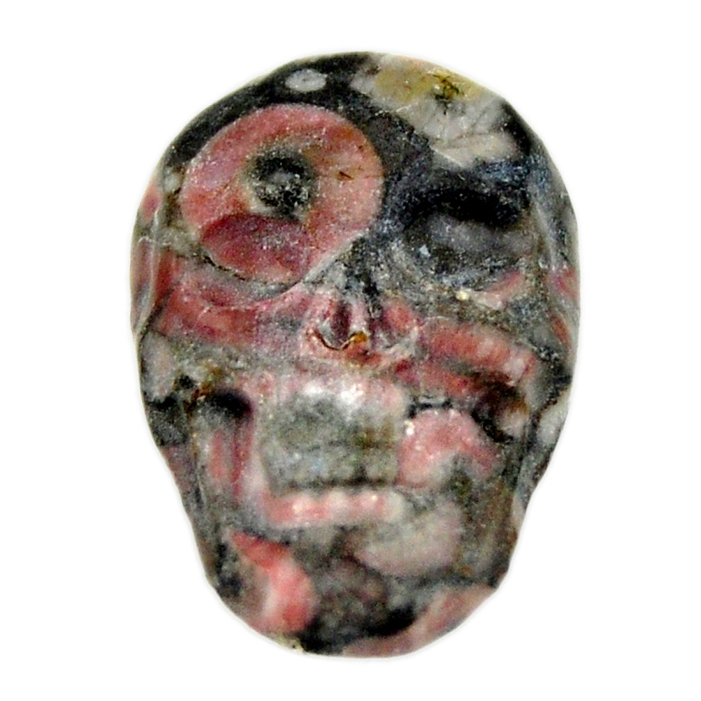 Natural 14.35cts crinoid fossil black 22.5x15 mm skull loose gemstone s18070