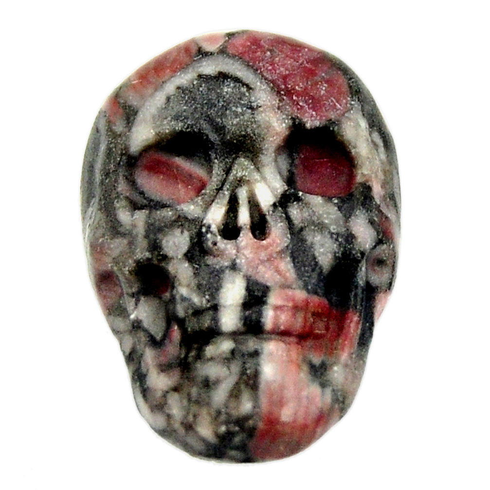 Natural 14.45cts crinoid fossil black 22.5x15 mm skull loose gemstone s18071