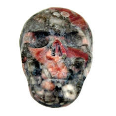 Natural 15.30cts crinoid fossil black 22.5x15.5 mm skull loose gemstone s18066