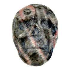 Natural 15.10cts crinoid fossil black 22.5x15.5 mm skull loose gemstone s18074