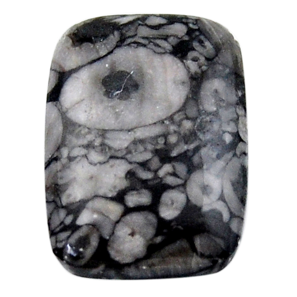 Natural 24.35cts crinoid fossil black cabochon 25x17.5 mm loose gemstone s19075
