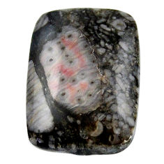 Natural 24.45cts crinoid fossil black cabochon 25x18 mm loose gemstone s19061