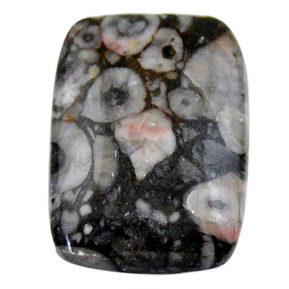 Natural 24.35cts crinoid fossil black cabochon 25x18 mm loose gemstone s19066