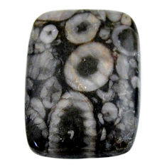 Natural 23.45cts crinoid fossil black cabochon 25x18 mm loose gemstone s19067