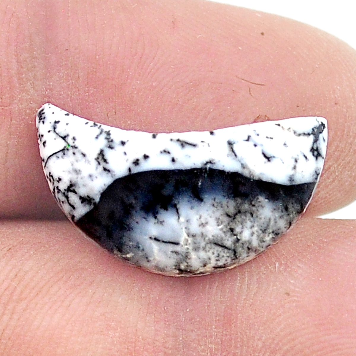 58Carat 42x26x7mm Amazing And Good Looking Stone Natural  Dendrite Opal Gemstone