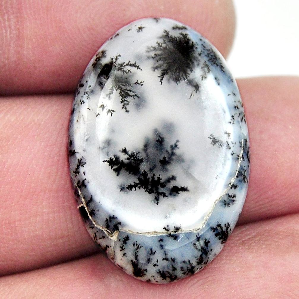 Natural 14.30cts dendrite opal (merlinite) white 25x17 mm loose gemstone s17770