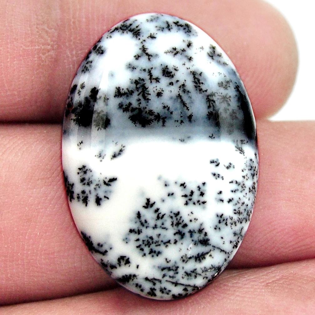 Natural 18.25cts dendrite opal (merlinite) white 27.5x18mm loose gemstone s17763