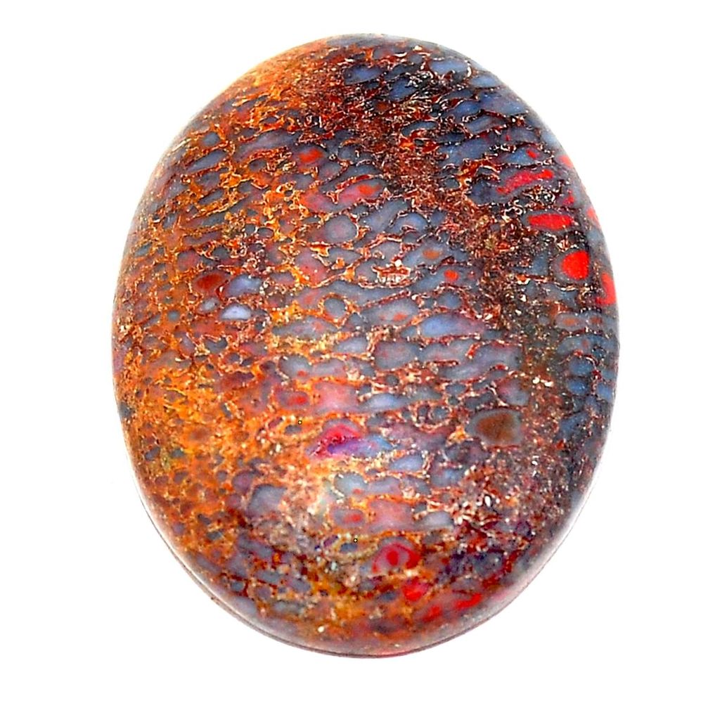 Natural 24.35cts dinosaur bone fossilized 26x20 mm oval loose gemstone s23940