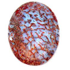 Natural 24.15cts dinosaur bone fossilized 27x20 mm oval loose gemstone s23931