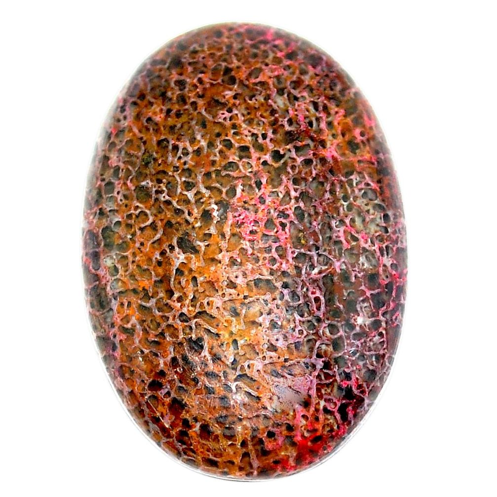 Natural 32.45cts dinosaur bone fossilized 32x21 mm oval loose gemstone s23933