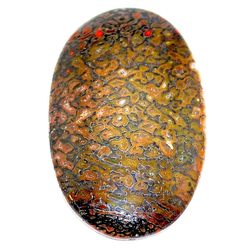 Natural 25.30cts dinosaur bone fossilized 33x20 mm oval loose gemstone s23932