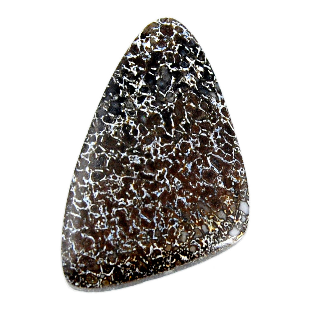Natural 33.25cts dinosaur bone fossilized 41x25 mm loose gemstone s19439