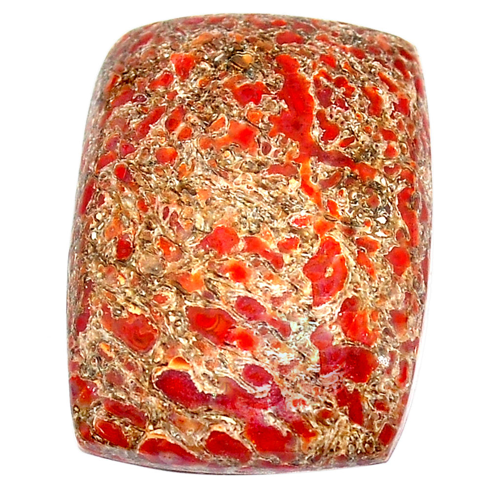 Natural 25.30cts dinosaur bone fossilized brown 25x18 mm loose gemstone s23952