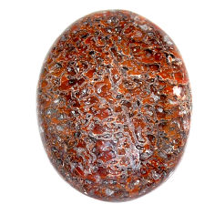 Natural 23.15cts dinosaur bone fossilized brown 26x20 mm loose gemstone s23946