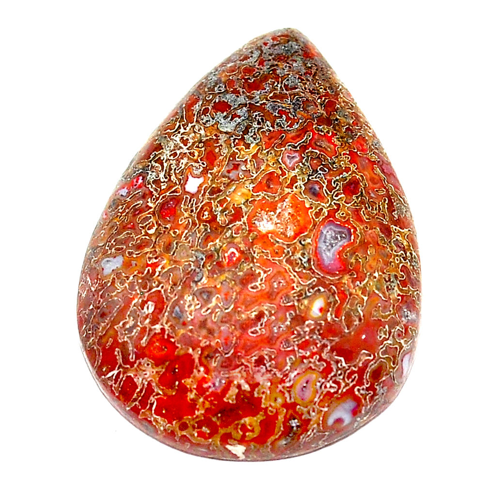 Natural 22.20cts dinosaur bone fossilized brown 27x19 mm loose gemstone s23964