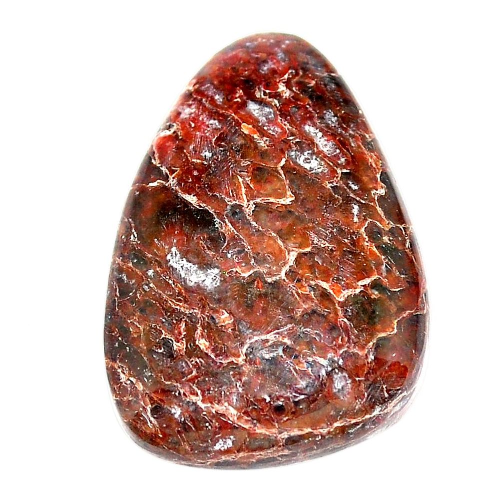Natural 24.15cts dinosaur bone fossilized brown 27x19 mm loose gemstone s23970