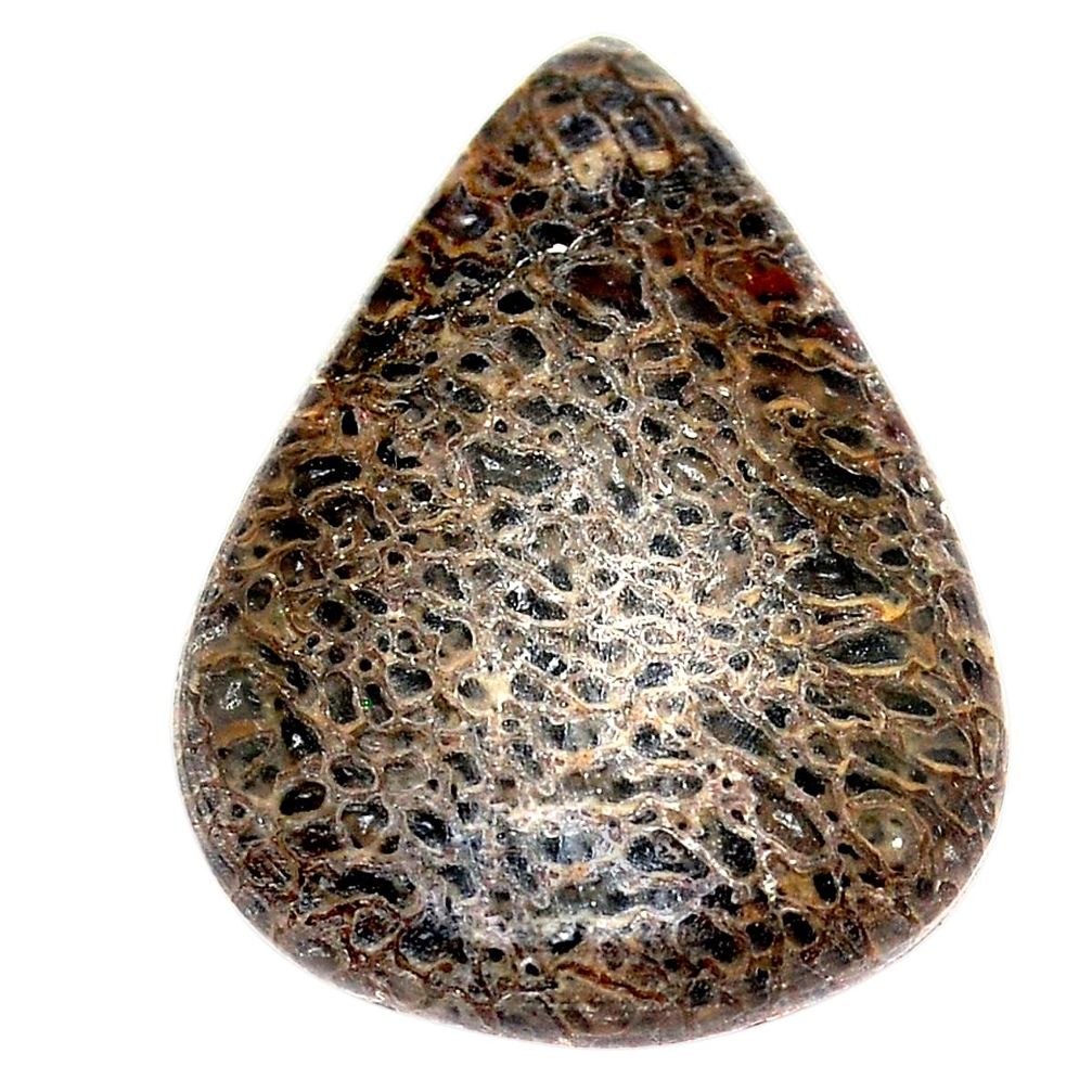Natural 28.25cts dinosaur bone fossilized brown 30x22 mm loose gemstone s23966