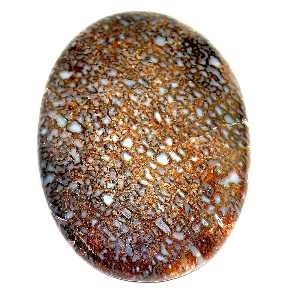 Natural 36.30cts dinosaur bone fossilized brown 35x25 mm loose gemstone s23960