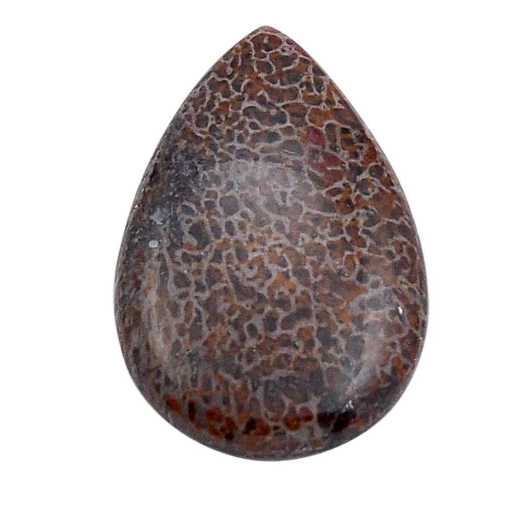 Natural 35.25cts dinosaur bone fossilized brown 38x24 mm loose gemstone s29883