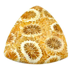 Natural 12.35cts fossil coral petoskey stone 20x19 mm loose gemstone s22959