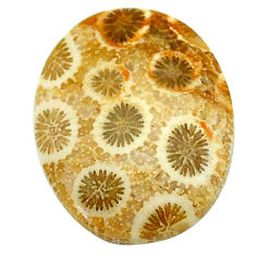 Natural 14.15cts fossil coral petoskey stone 22x17 mm oval loose gemstone s22956