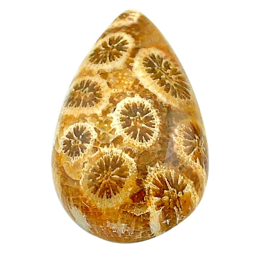 Natural 15.10cts fossil coral petoskey stone 24x15 mm pear loose gemstone s22957