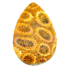 Natural 16.30cts fossil coral petoskey stone 27x17 mm pear loose gemstone s22949
