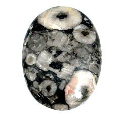 Natural 21.30cts fossil coral petoskey stone 27x18.5 mm loose gemstone s22369