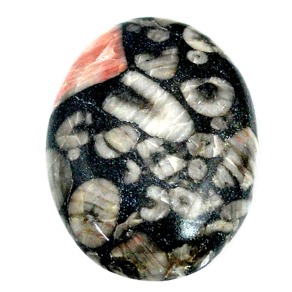 Natural 28.25cts fossil coral petoskey stone 27x20 mm oval loose gemstone s22365