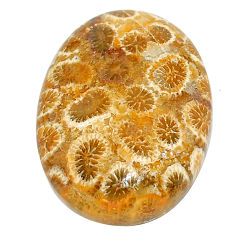 Natural 29.15cts fossil coral petoskey stone 27x20 mm oval loose gemstone s22933